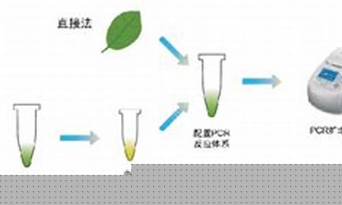 无锡光电子pcr实验室装修(无锡光电子pcr实验室装修效果图)